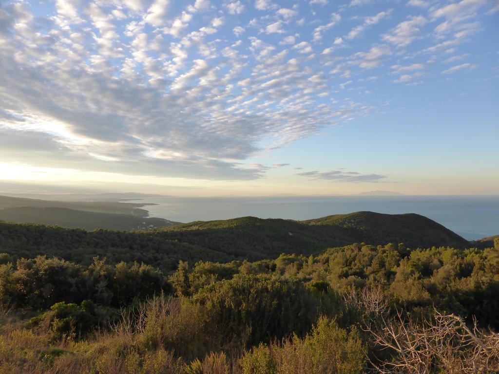 Arpaderba B&B Λιβόρνο Εξωτερικό φωτογραφία